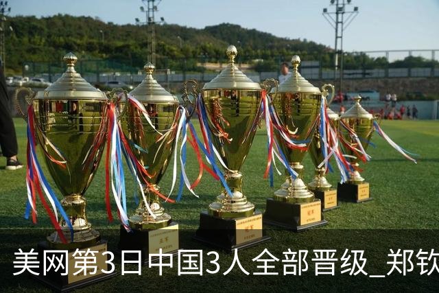 美网第3日中国3人全部晋级 郑钦文连续3年进32强